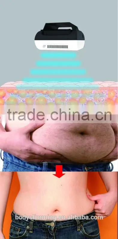 OSANO best portable mini cryolipolysis slimming machine LM-H600 for home use
