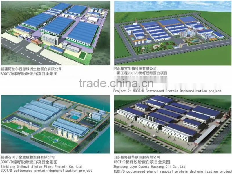 black seed oil mill
