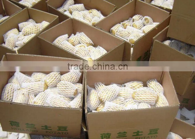 China fresh potatoes in hot sailing