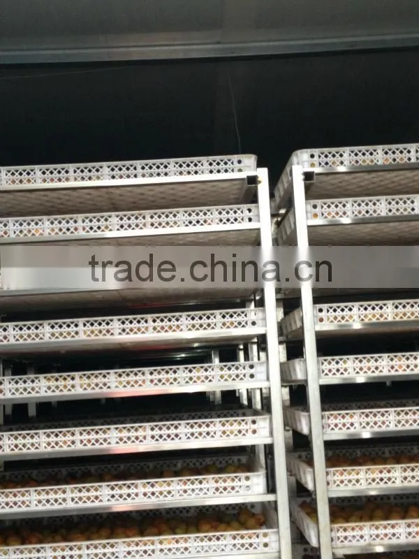 2014 Products New Dry Tomatoes