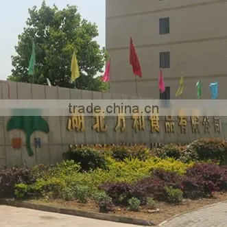 Hubei Wanhe Food Co., Ltd. company overview - view 1