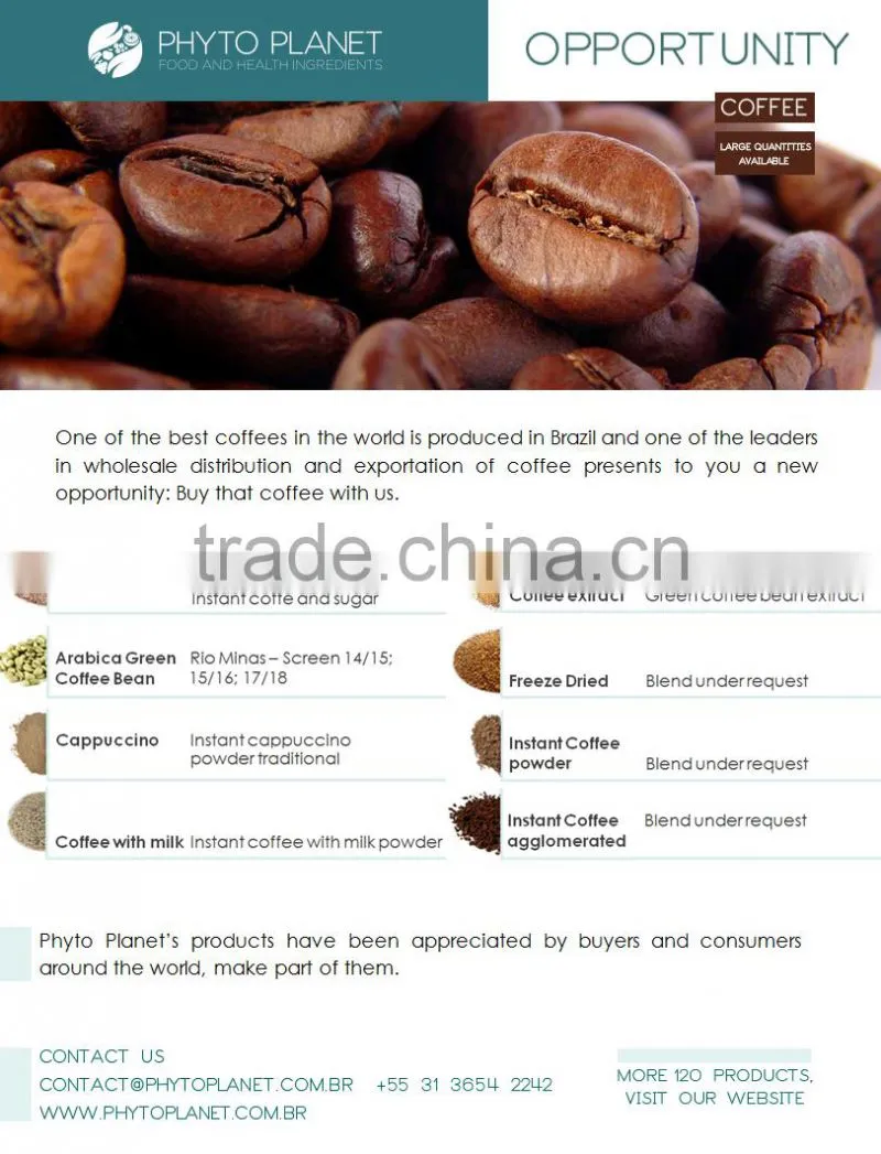 GREEN COFFEE BEAN