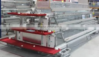 Baby chicken Hen House Cage for Nigeria growing layers