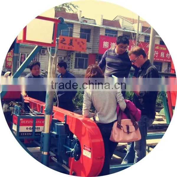 Brand protection multi blade saw machine made in China