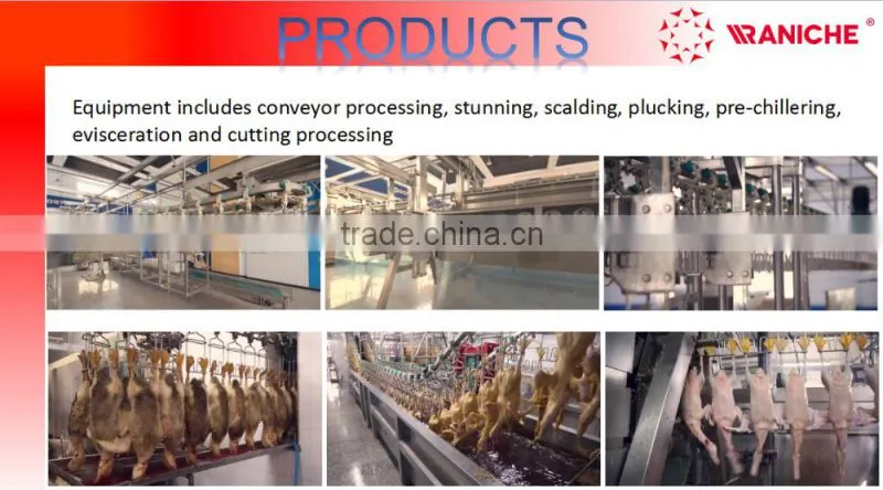 304 Type Stainless Steel Poultry carcass Screw Pre-chiller