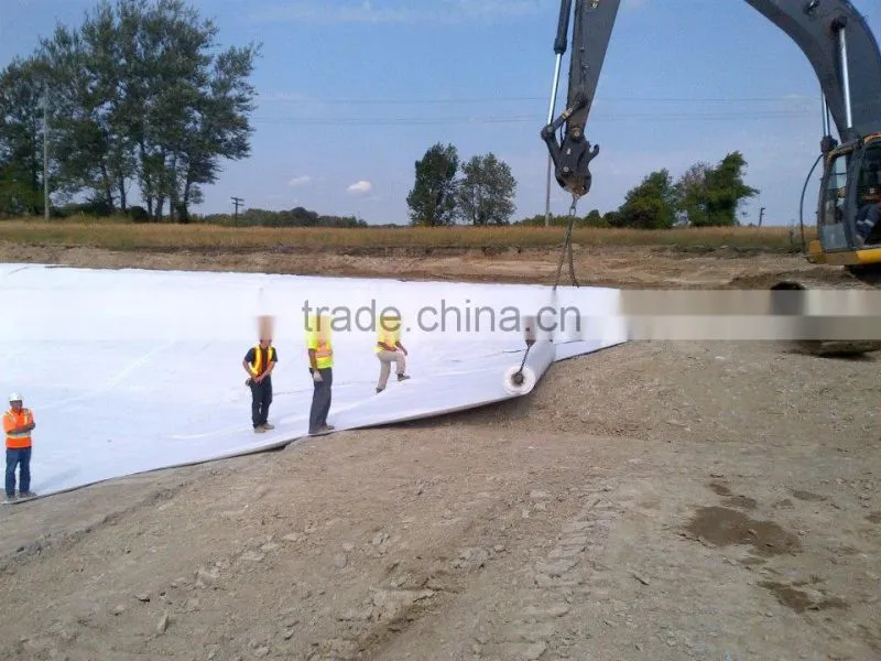 Hot sale drilling Lining and remediation Bentonite Geosynthetic Clay Liner