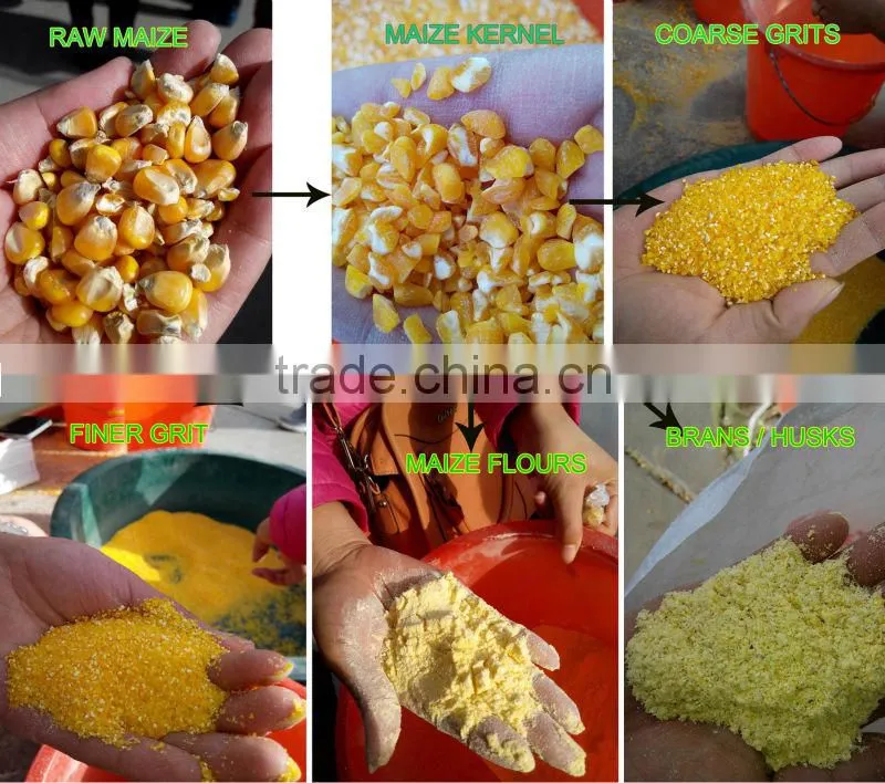 Corn Grinder Plant and Corn Flour Mill Plant