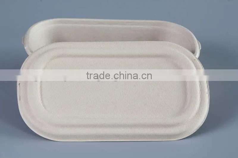 Biodegradable 1000ml sugarcane food container with separate lid