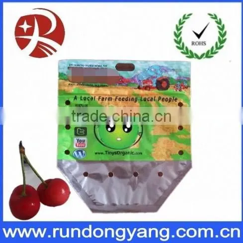 Stand Up Pouch Fruit packaging bag with handle
