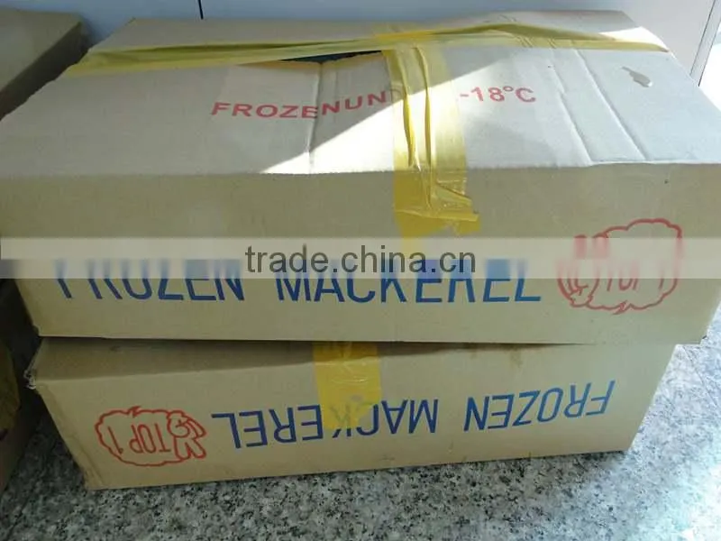 Land Frozen Pacific Mackerel for Canning,Lamp Catching Scomber Japonicus for Canned Fish