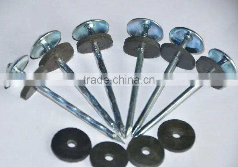 Umbrella Head Galvanized Roofing Nails with Rubber Washer
