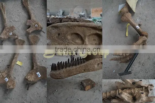 Lisaurus-J dinosaur skulls for exhibitions/amusement parks