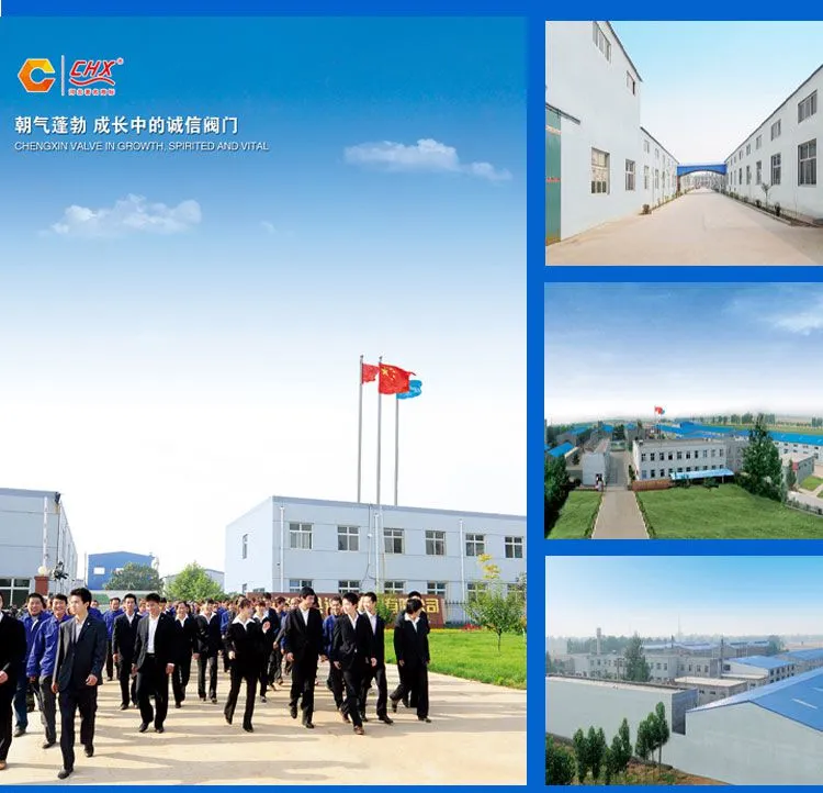 公司信息-4