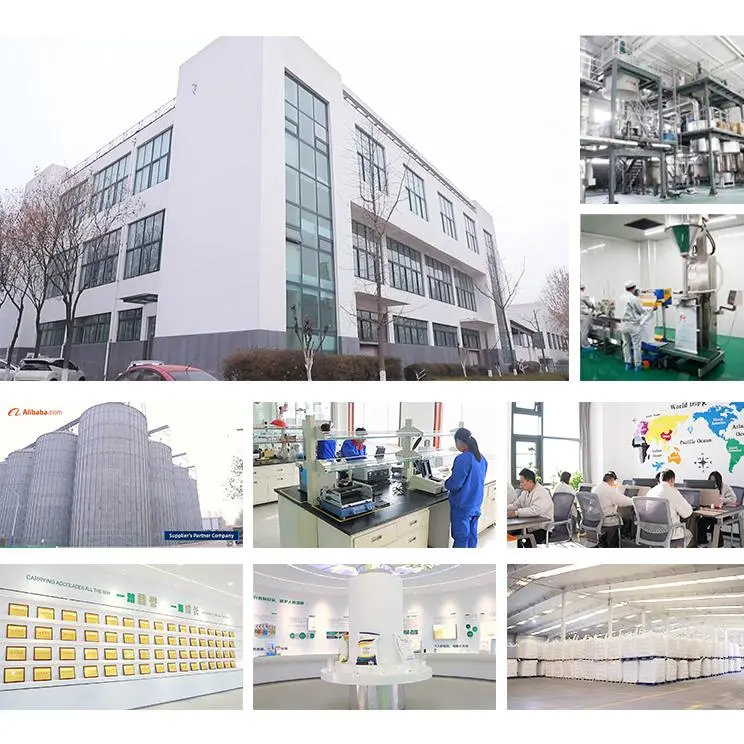 Wuhan Gongchen International Trading Co., Ltd. company overview - view 1