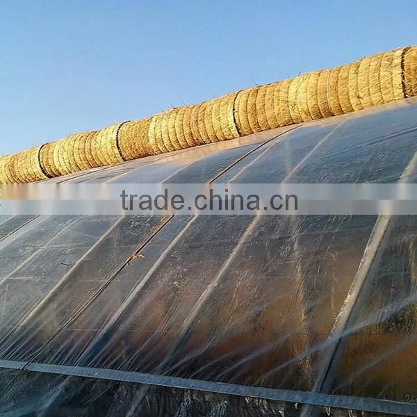 Greenhouse Film/ Greenhouse Plastic Film