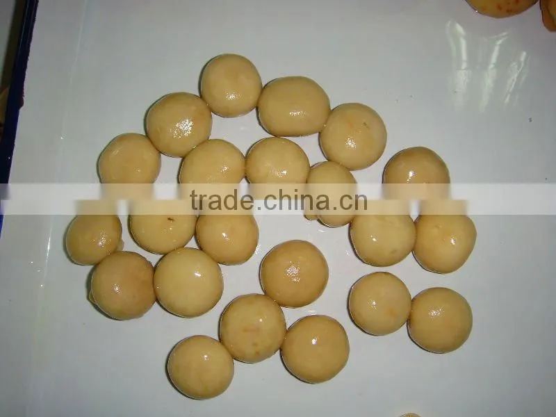 champignon PNS