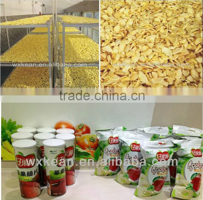 Hot sale apple chips expanded system manufactured in Wuxi kaae