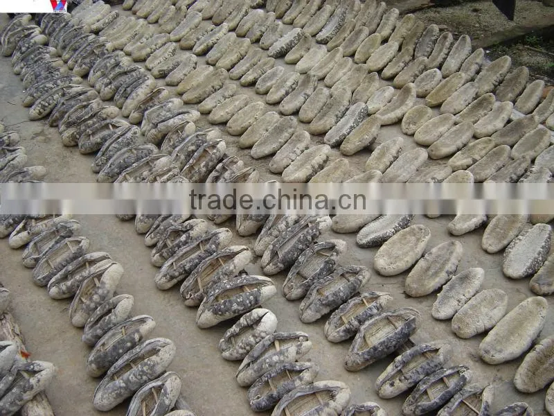 Dried Sea cucumber/ Dried Trepang