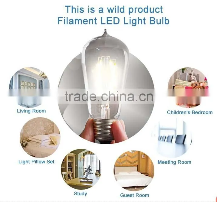 2W 4W 6W 8W LED Filament Bulb