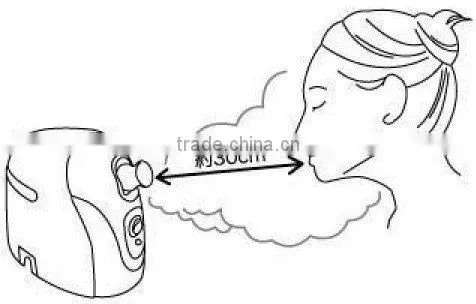 mini facial steamer