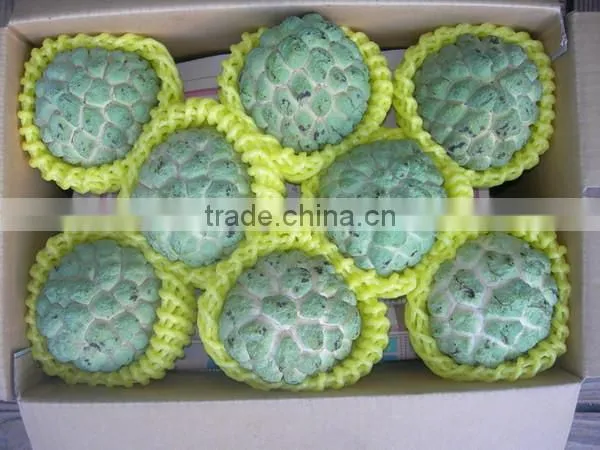 Hot selling good quality EPE foam fruit net