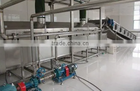 Kaier frying production line