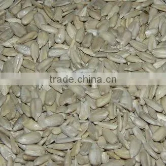 Sunflower seed kernels