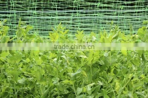 High quality plastic plain net for poultry fence