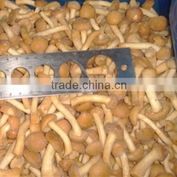 Iqf Frozen Nameko