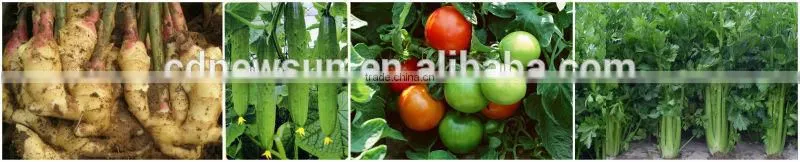Plant Guards liquid bio fertilizer