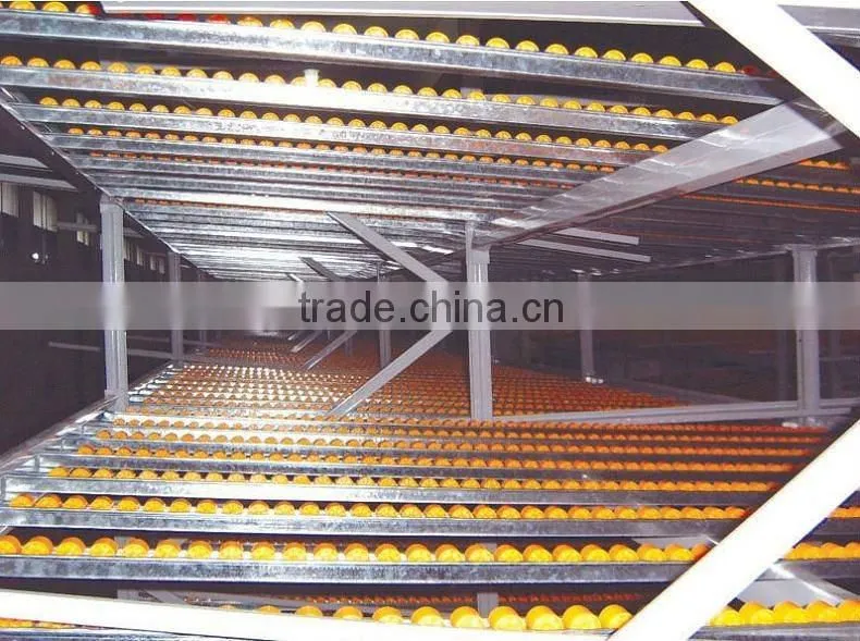 Warehouse storage Carton Flow Rack