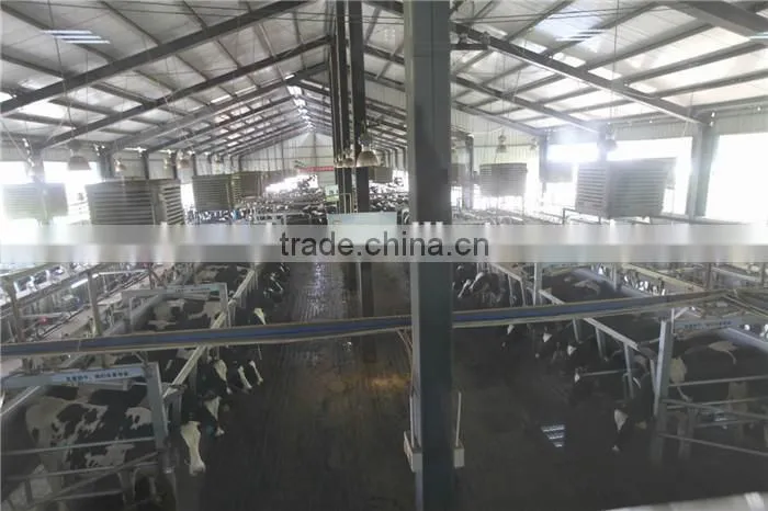 Large / Long span Prefabricated Steel Structure Poultry / Lifestock Buildings