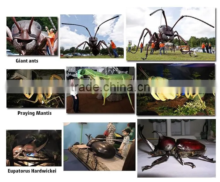 Outdoor Playground Blue Dragonfly