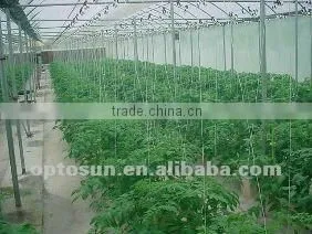 300w led grow light vegetable with 8 pcs fans