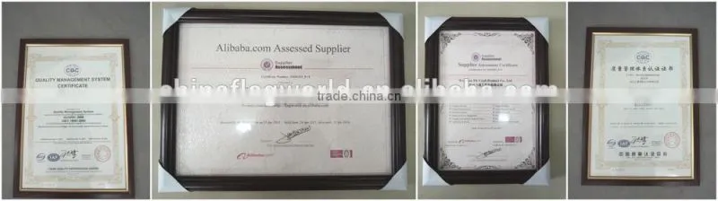 Good Quality Vinyl Wall Flag for Promotion
