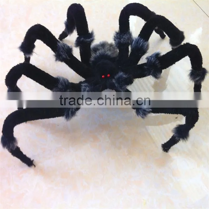 The latest terror spider for Holloween