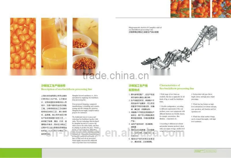 Sea Buckthorn fruit juice processing line
