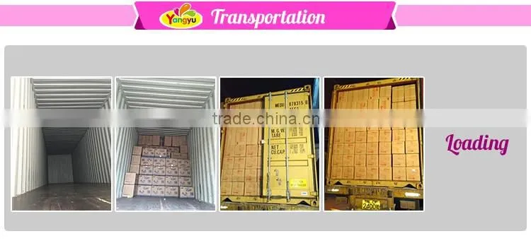 Colorful chewing gum fruity flavors chewing gum candy