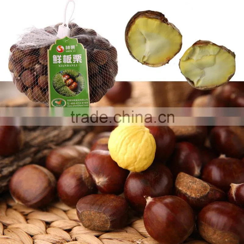 2016 New Crop Fresh Chestnut
