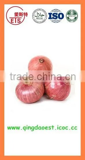Fresh Red Onion FOR SALE