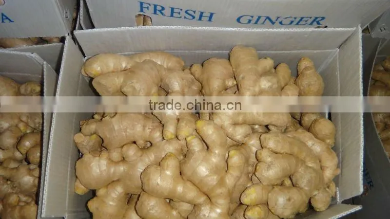 Fresh Air dried ginger