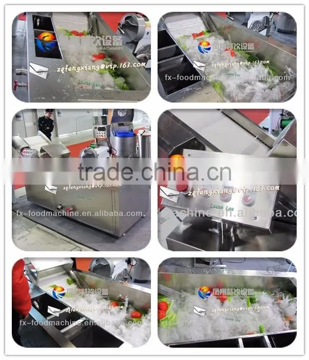 WA-1000 multi-functional leaf vegetable washer machine in stock