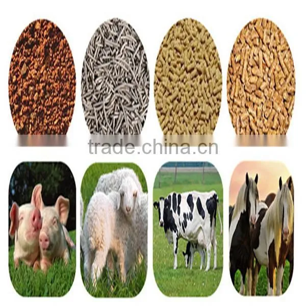 Flat die pellet mill equipment