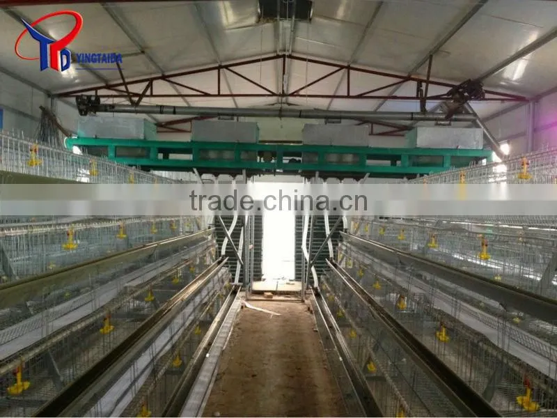 chicken grilling equipment
