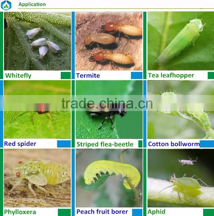 rapid knock down Bifenthrin 97% TC insecticide and termitide