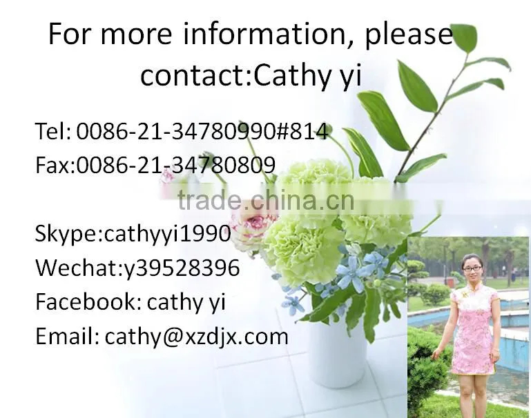 Wood Treatment Plants Wood Treatment Machine