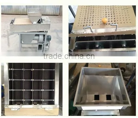 Peanut skin removing machine /Wet way almond/peanut peeling machine