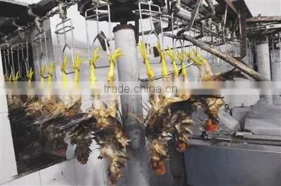halal meat processing machine for chicken