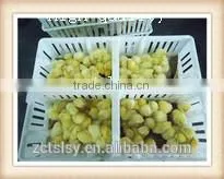 the farming equipment plastic chicks transport box with low price