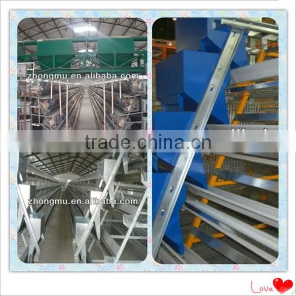 fully automatic chicken cage equipment for poultry farming